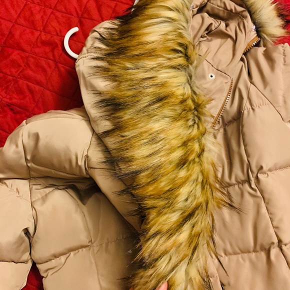 Coat - Picture 3 of 5